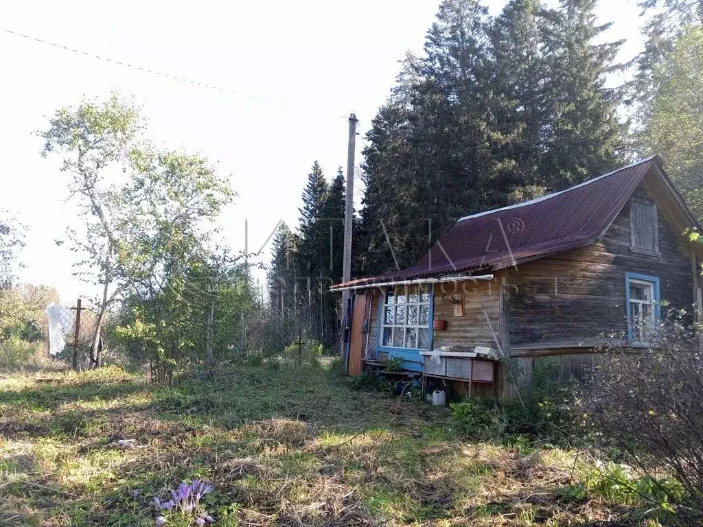 Участок в Ленинградская область, Кингисеппский район, Опольевское ... - Фото 0