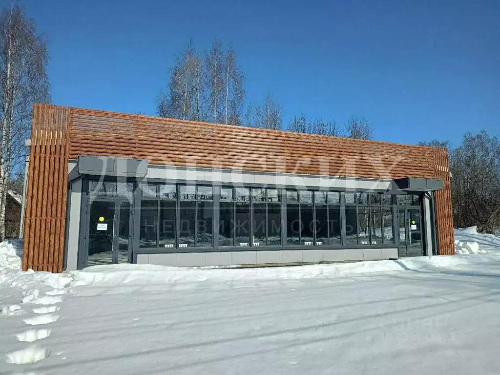 Помещение свободного назначения в Нижегородская область, Чкаловск ул. ... - Фото 2