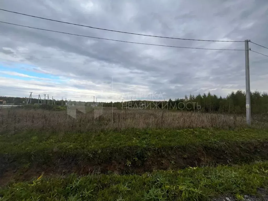 Участок в Тюменская область, Тюменский муниципальный округ, с. Кулига  ... - Фото 2