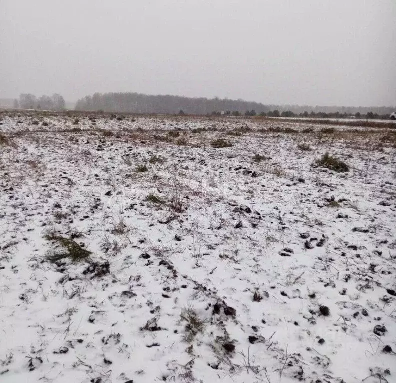 Участок в Тюменская область, Тюменский муниципальный округ, ... - Фото 1