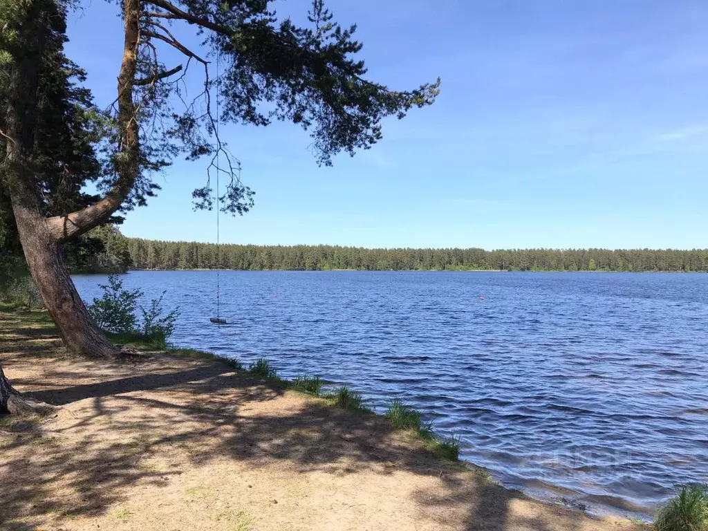 Дом в Ленинградская область, Приозерский район, Ларионовское с/пос, ... - Фото 2