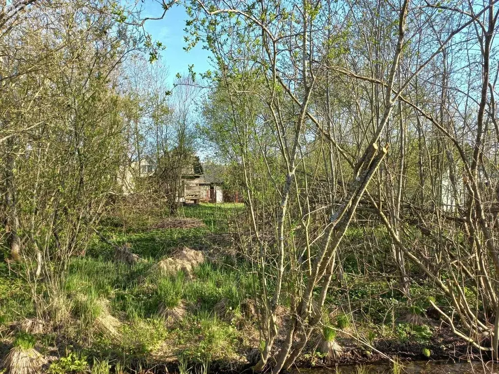 Участок в Мгинское городское поселение, садовое товарищество Славянка ... - Фото 0