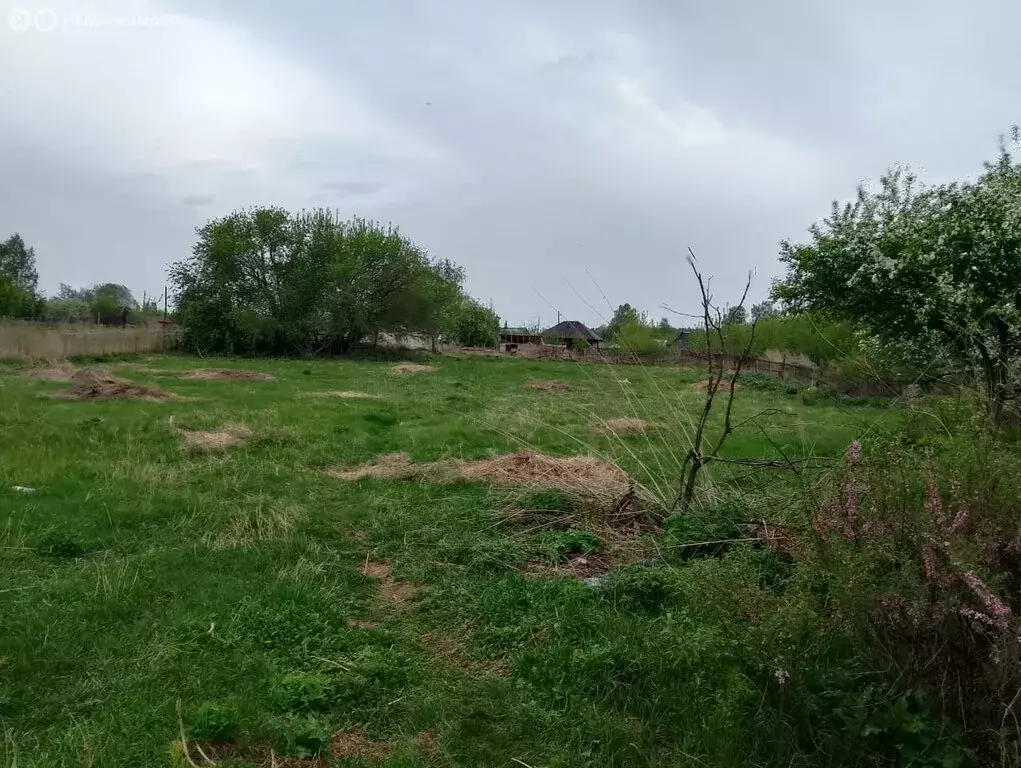 Участок в село Рассказиха, Партизанская улица, 17 (26 м) - Фото 1
