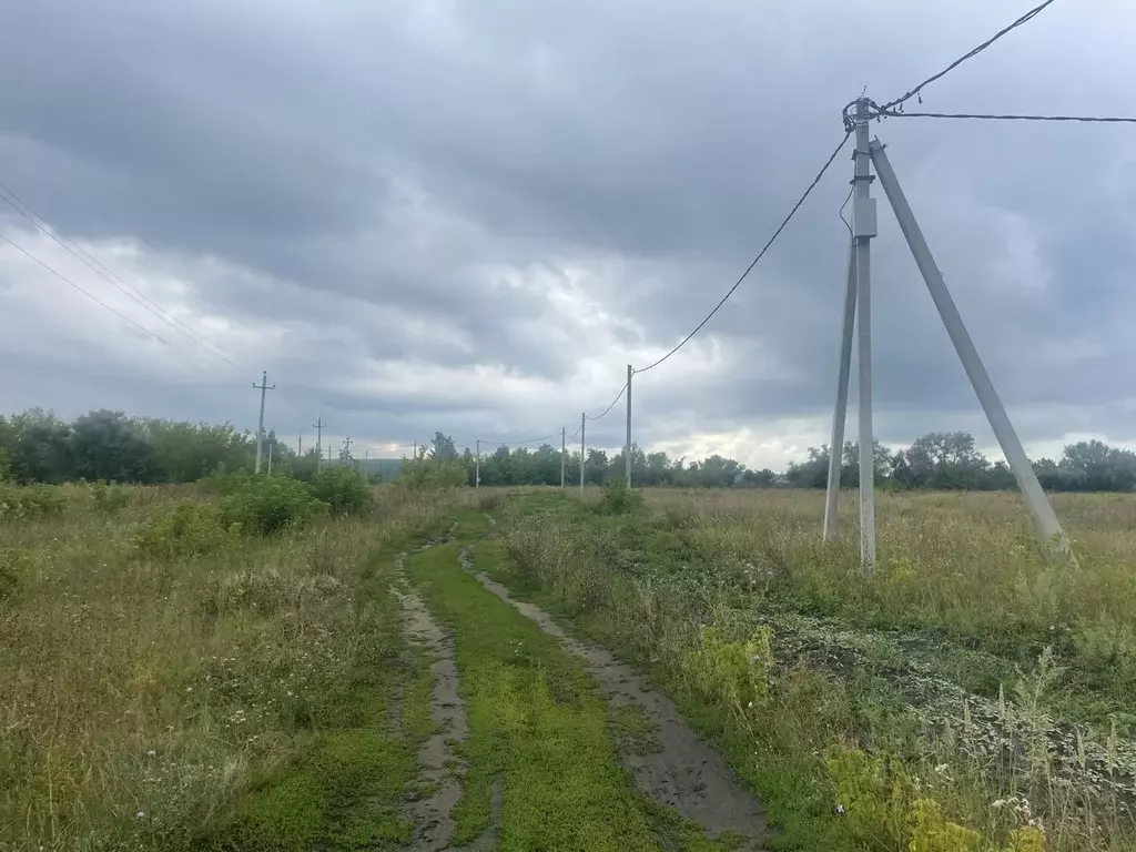 Участок в Самарская область, Красноярский район, с. Старая Бинарадка ... - Фото 0