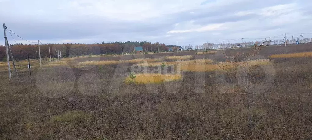 Участок 15 сот. (ИЖС) - Фото 0