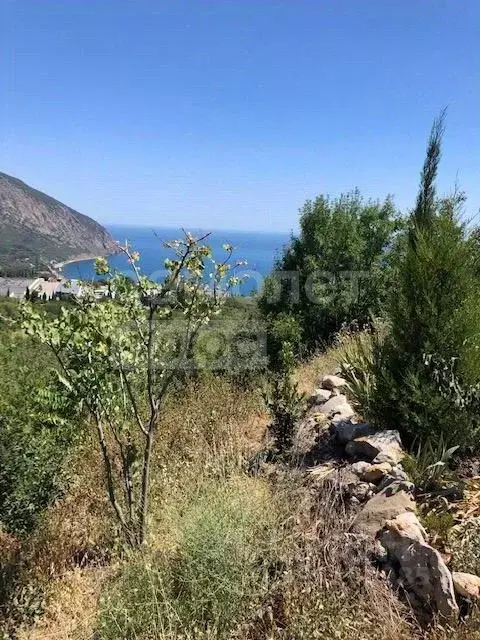 Участок в Крым, Ялта муниципальный округ, Гурзуф пгт ул. Ленинградская ... - Фото 2