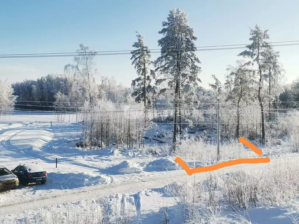 Участок в Ленинградская область, Всеволожский район, Токсовское ... - Фото 2