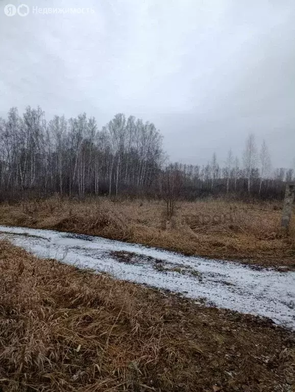 Участок в Копейск, СНТ Берёзка-4 (5.89 м) - Фото 2