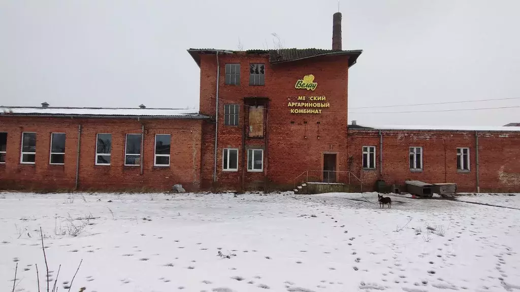 Склад в Калининградская область, Гвардейский муниципальный округ, пос. ... - Фото 0