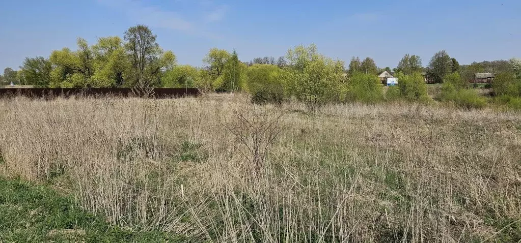 Участок в Московская область, Луховицы муниципальный округ, д. ... - Фото 1