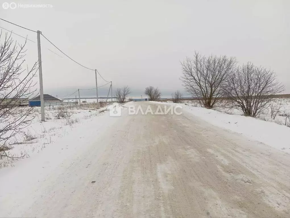 Участок в Засечный сельсовет, село Лебедёвка, Родниковая улица (10.8 ... - Фото 1