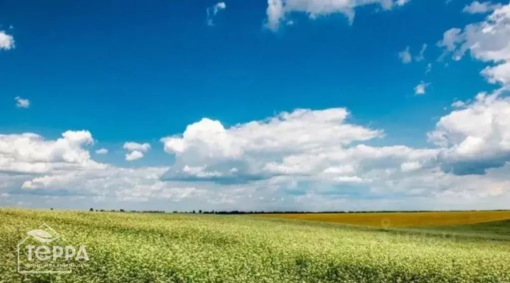 Участок в Крым, Сакский район, с. Молочное ул. Пионерская (450.0 сот.) - Фото 0