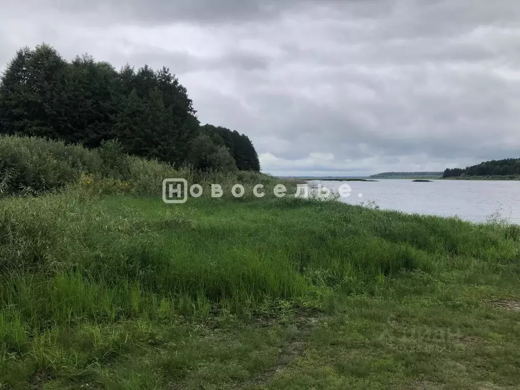Участок в Рязанская область, Клепиковский муниципальный округ, д. ... - Фото 2