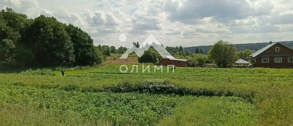 Участок в Вологодская область, Харовский муниципальный округ, д. ... - Фото 2