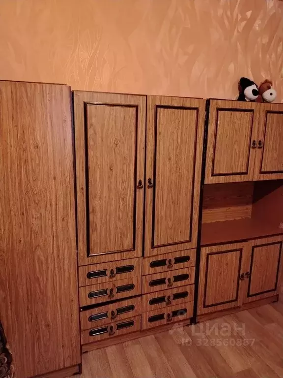 1-к кв. Пензенская область, Пензенский район, Засечный сельсовет, с. ... - Фото 2