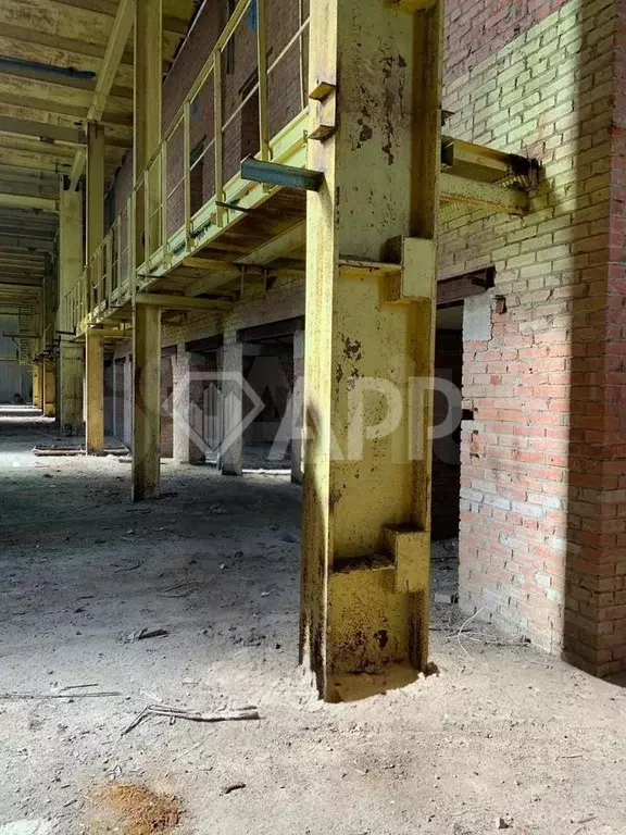 Продам производственное здание 10 000 кв.м - Фото 1