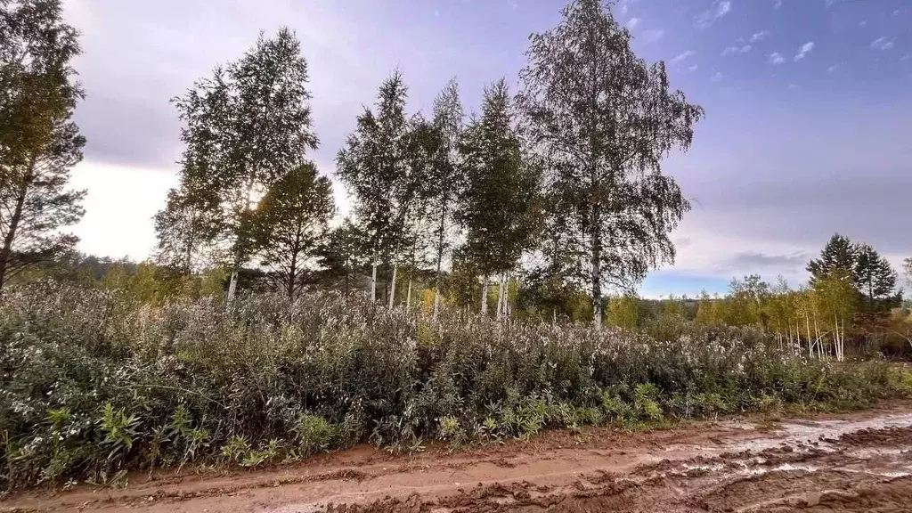 Участок в Иркутская область, Иркутский муниципальный округ, д. ... - Фото 1