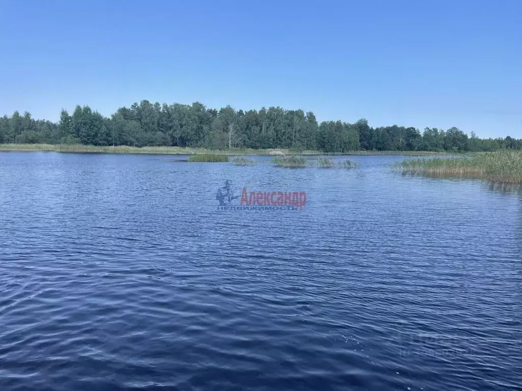 Участок в Ленинградская область, Приозерский район, Ларионовское ... - Фото 0