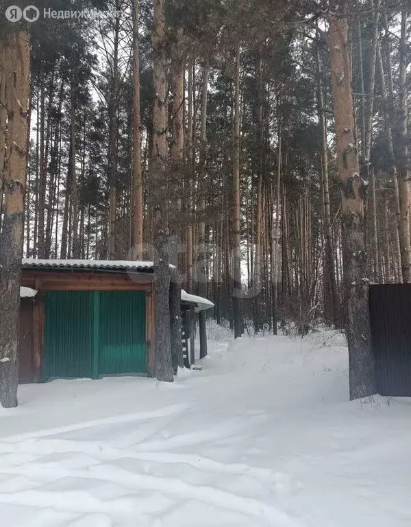 Участок в Томский район, СНТ Лесная дача (10 м) - Фото 2