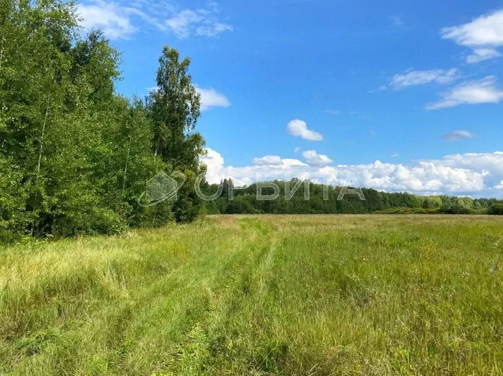 Участок в Тюменская область, Тюменский муниципальный округ, д. Елань ... - Фото 2