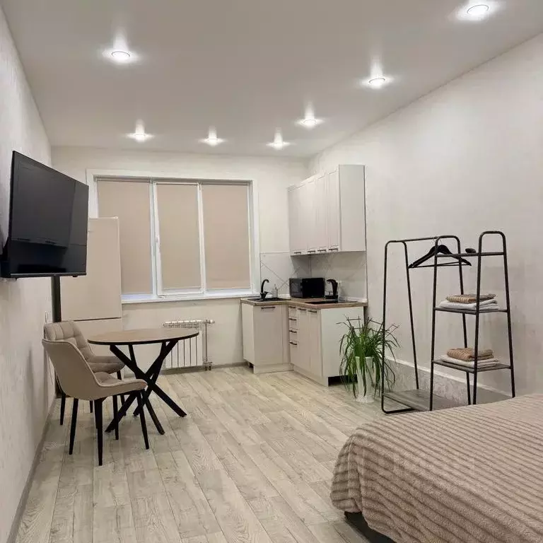 Студия Сахалинская область, Южно-Сахалинск ул. Ленина, 563к5 (28.0 м) - Фото 1