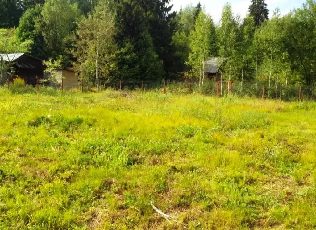 Участок в Ростовская область, Азовский район, Рогожкино хут. ул. ... - Фото 1