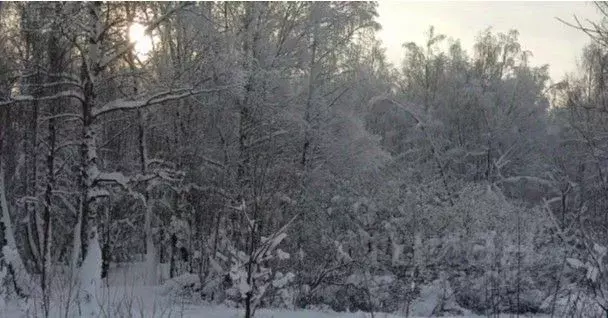 Участок в Московская область, Дмитровский муниципальный округ, д. ... - Фото 1