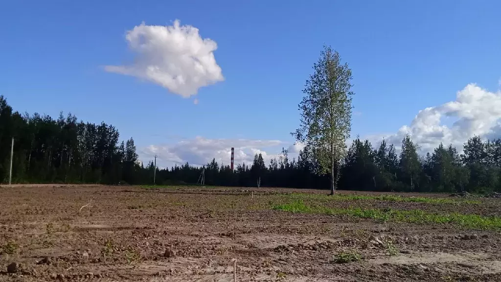 Участок в Новгородская область, Новгородский район, Ермолинское с/пос, ... - Фото 0