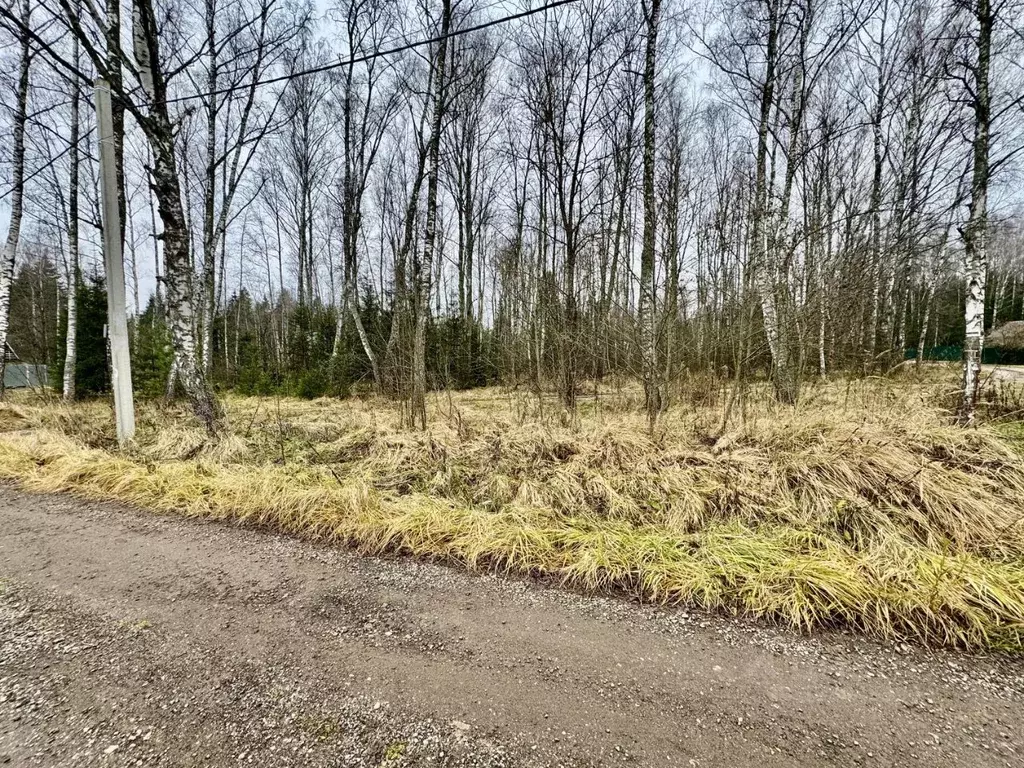Участок в Московская область, Рузский муниципальный округ, Папино тер. ... - Фото 1