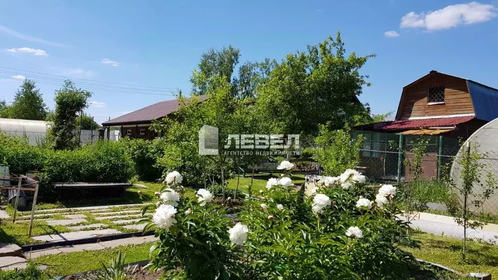 Участок в Москва Мечта СНТ, 245 (5.0 сот.) - Фото 2