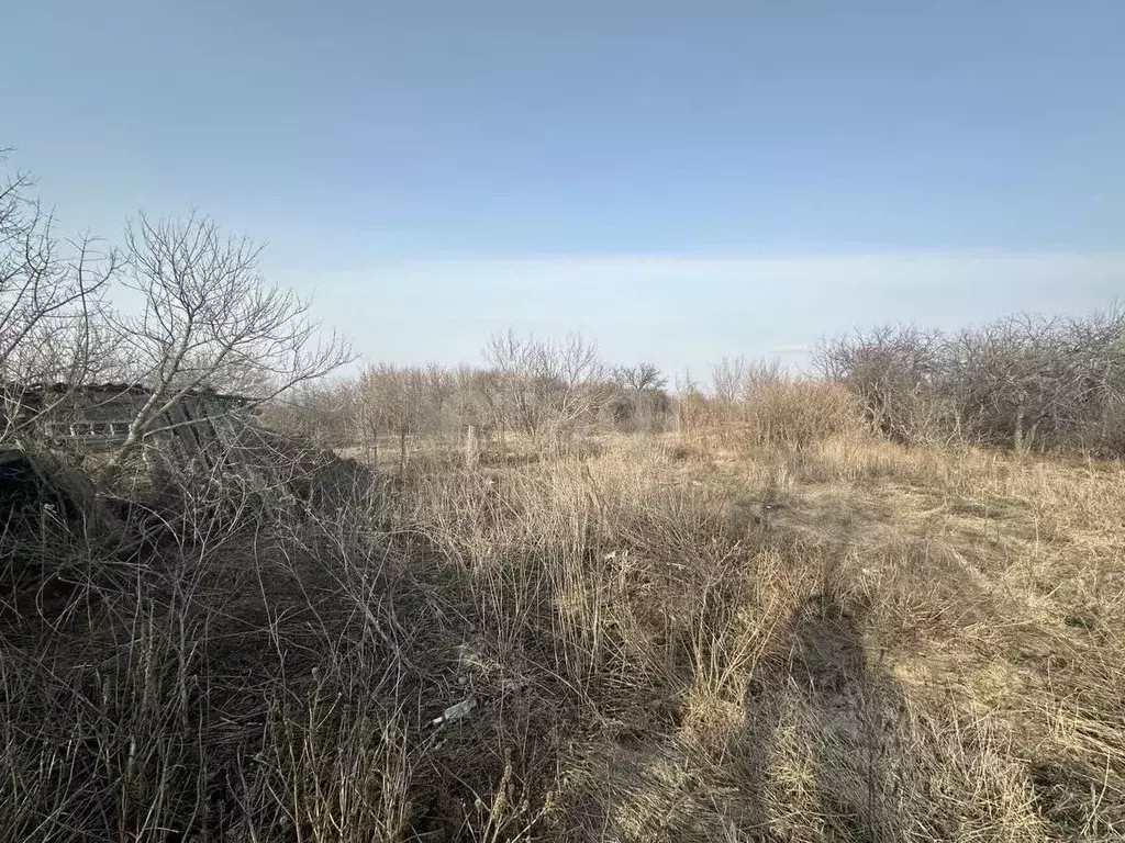 Дом в Воронежская область, Грибановский пгт ул. Кавказская, 125 (39 м) - Фото 0