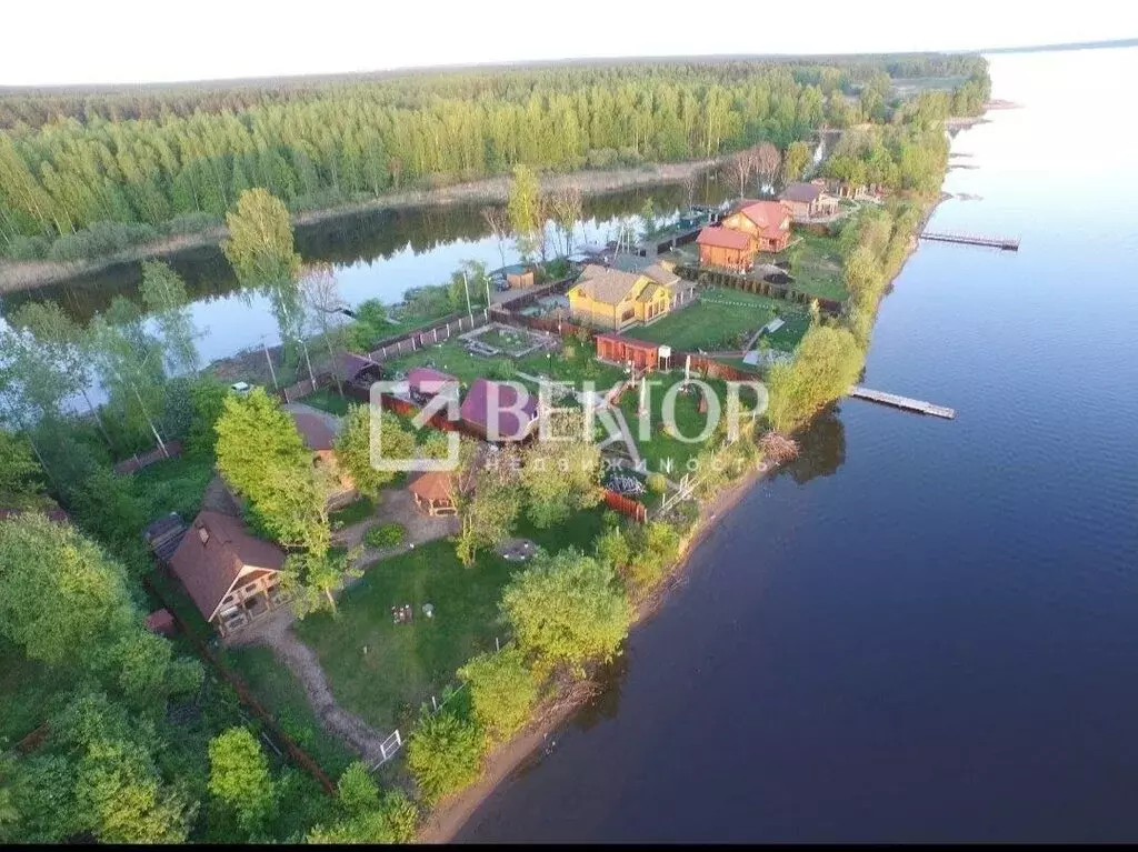 Дом в Красносельский район, Боровиковское сельское поселение, ... - Фото 1