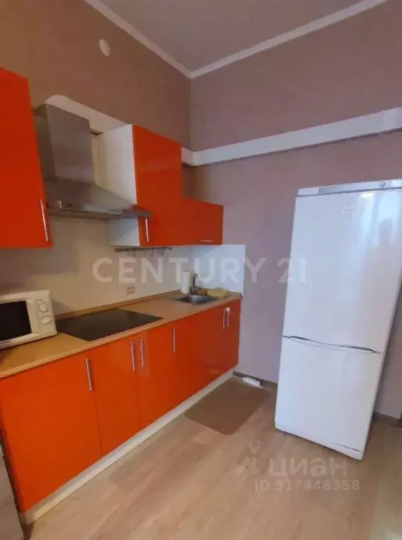 Студия Санкт-Петербург ул. Летчика Лихолетова, 14к3 (27.0 м) - Фото 1