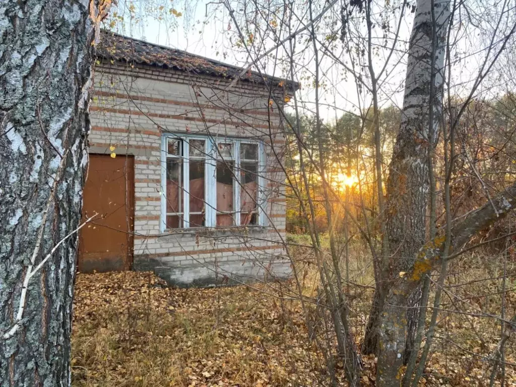 Помещение свободного назначения в Пензенская область, Лунинский район, ... - Фото 1