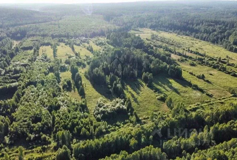 Участок в Ленинградская область, Приозерский район, Раздольевское ... - Фото 0