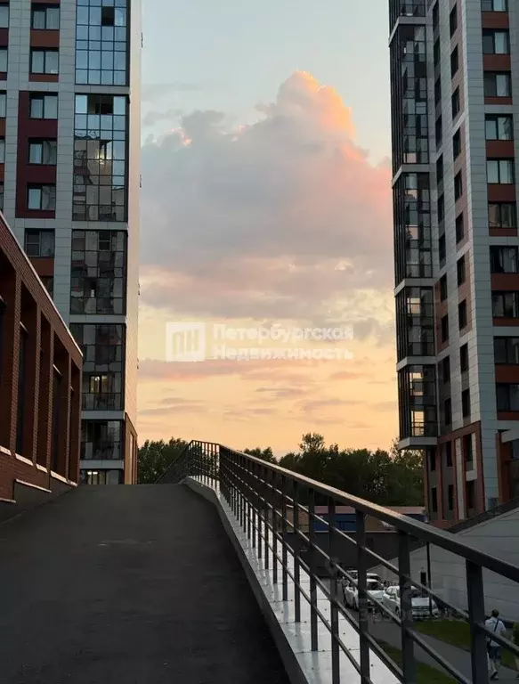 Студия Санкт-Петербург Фарфоровская ул., 7к2 (24.3 м) - Фото 1
