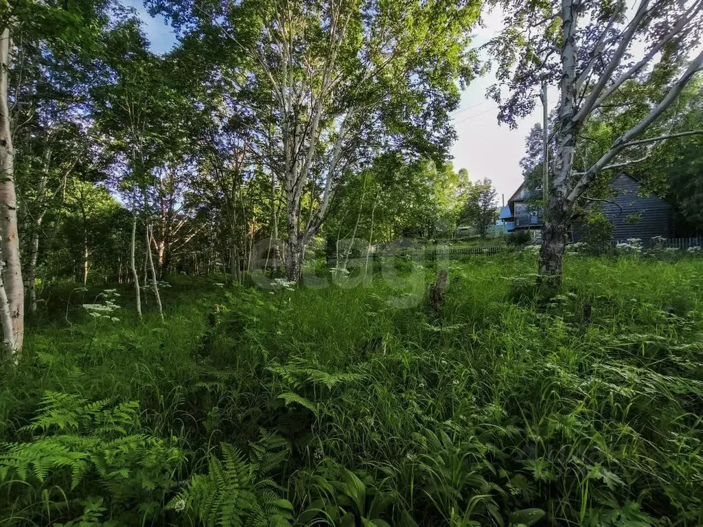 Участок в Камчатский край, Елизовский муниципальный округ, Орбита СНТ  ... - Фото 2
