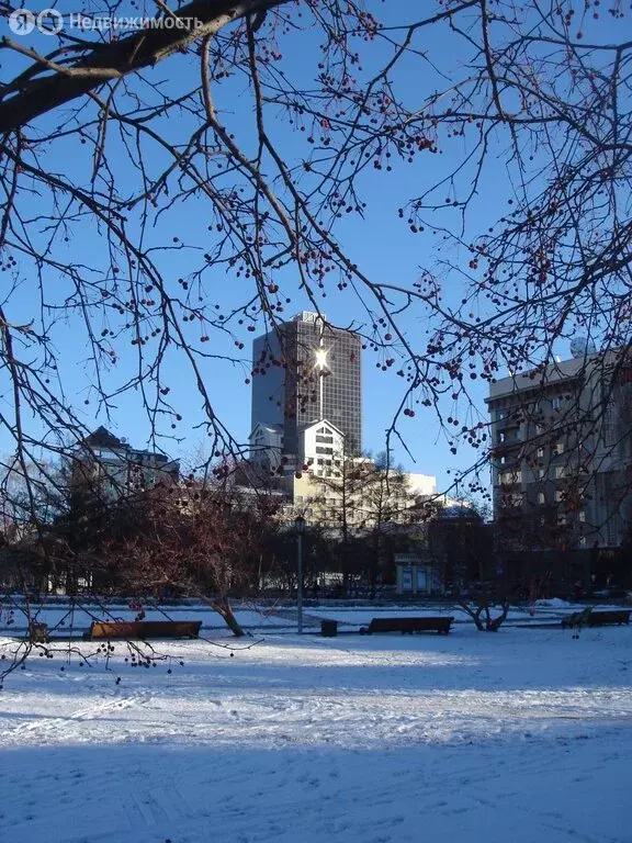 Офис (76.4 м) - Фото 2