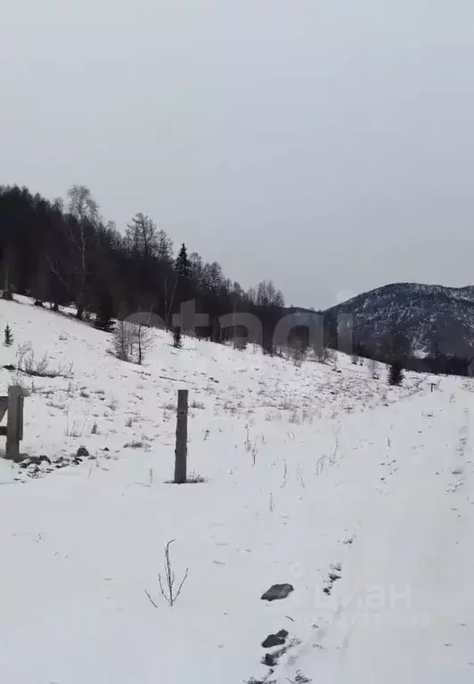 Участок в Алтай, Шебалинский район, с. Шебалино  (372.66 сот.) - Фото 1