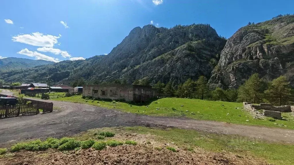 Участок в Алтай, Чемальский район, с. Еланда  (10.05 сот.) - Фото 1