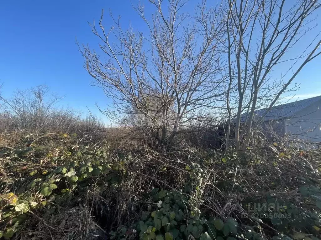 Участок в Ставропольский край, Ставрополь Зори Кавказа садовое ... - Фото 1