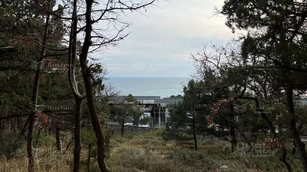 Участок в Крым, Ялта муниципальный округ, Курпаты пгт ш. Алупкинское ... - Фото 1