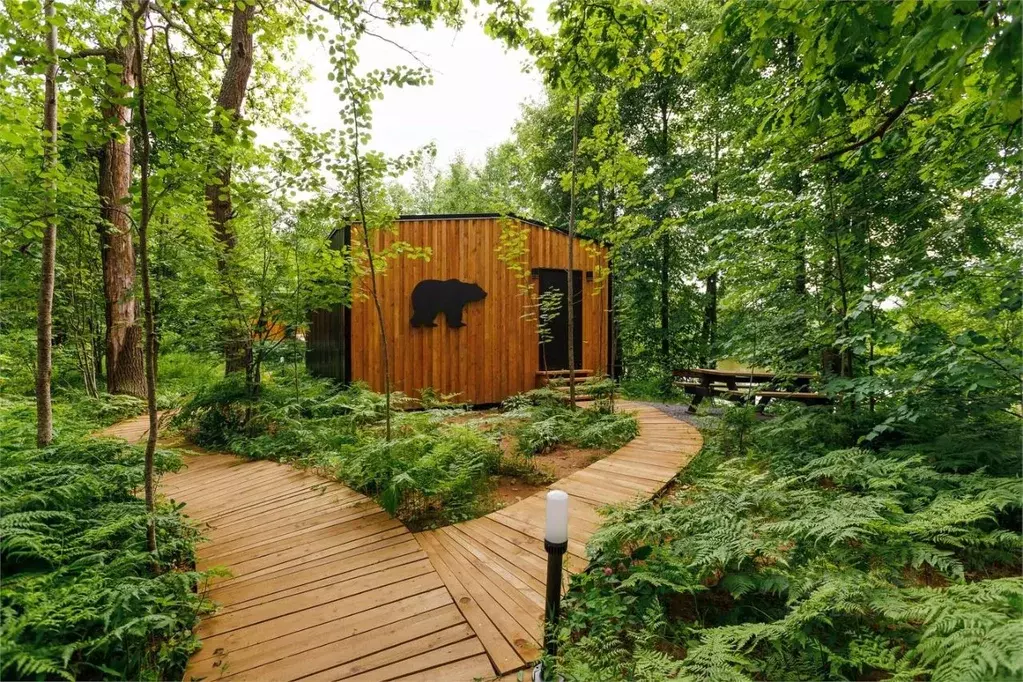 Дом в Нижегородская область, Бор  (48 м) - Фото 0