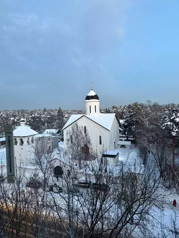 2-к кв. Московская область, Жуковский Нижегородская ул., 12 (49.0 м) - Фото 1