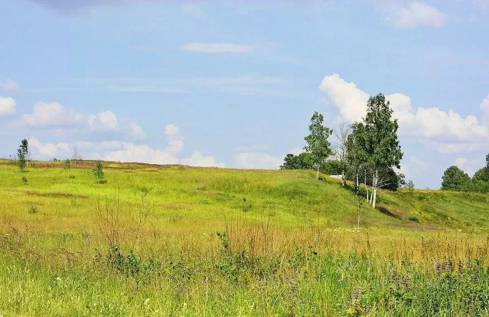 Участок в Московская область, Клин городской округ, д. Коськово  (15.0 ... - Фото 1