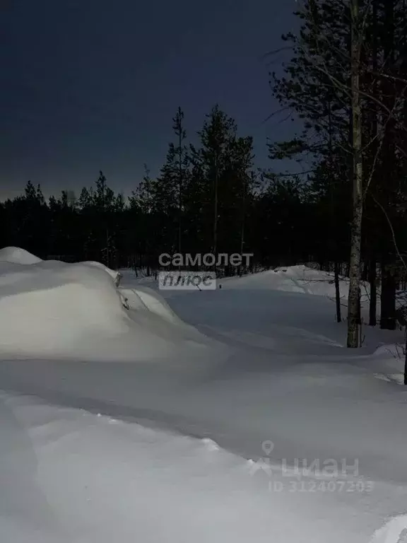 Участок в Ханты-Мансийский АО, Сургутский район, Барсово городское ... - Фото 0