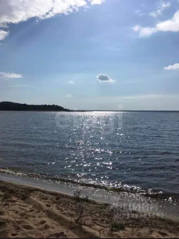 Участок в Псковская область, Куньинский район, Каськовская волость, д. ... - Фото 1