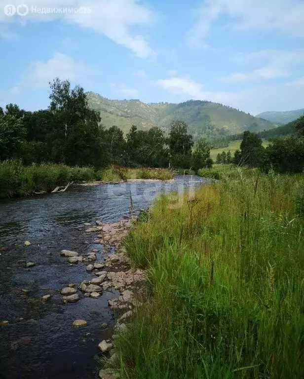 Участок в Шебалинский район, село Шебалино (164 м) - Фото 1