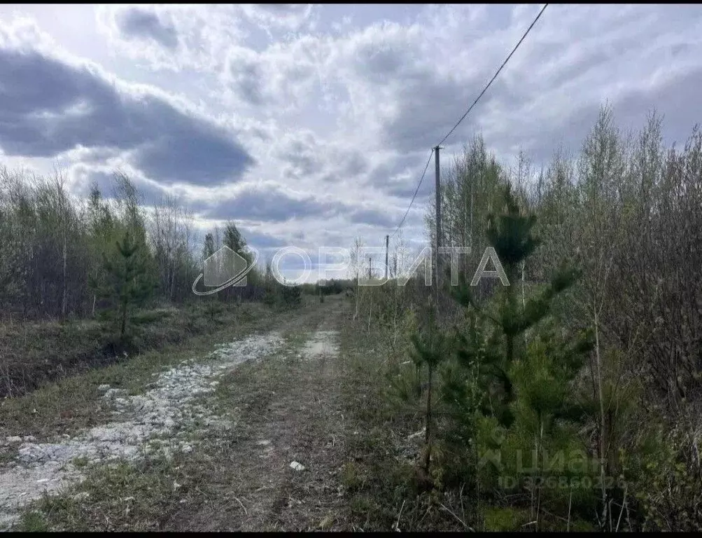 Участок в Тюменская область, Нижнетавдинский муниципальный округ, ... - Фото 2