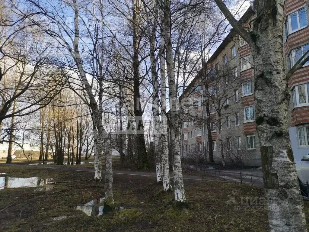 1-к кв. Санкт-Петербург пос. Шушары, Школьная ул., 8 (32.1 м) - Фото 1